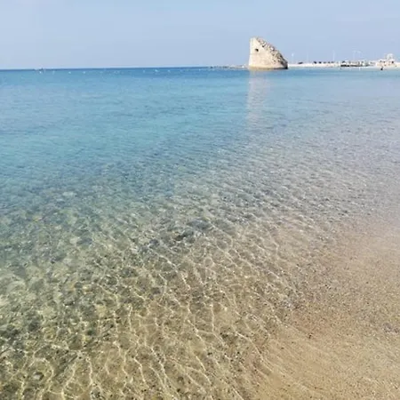 Paradiso *